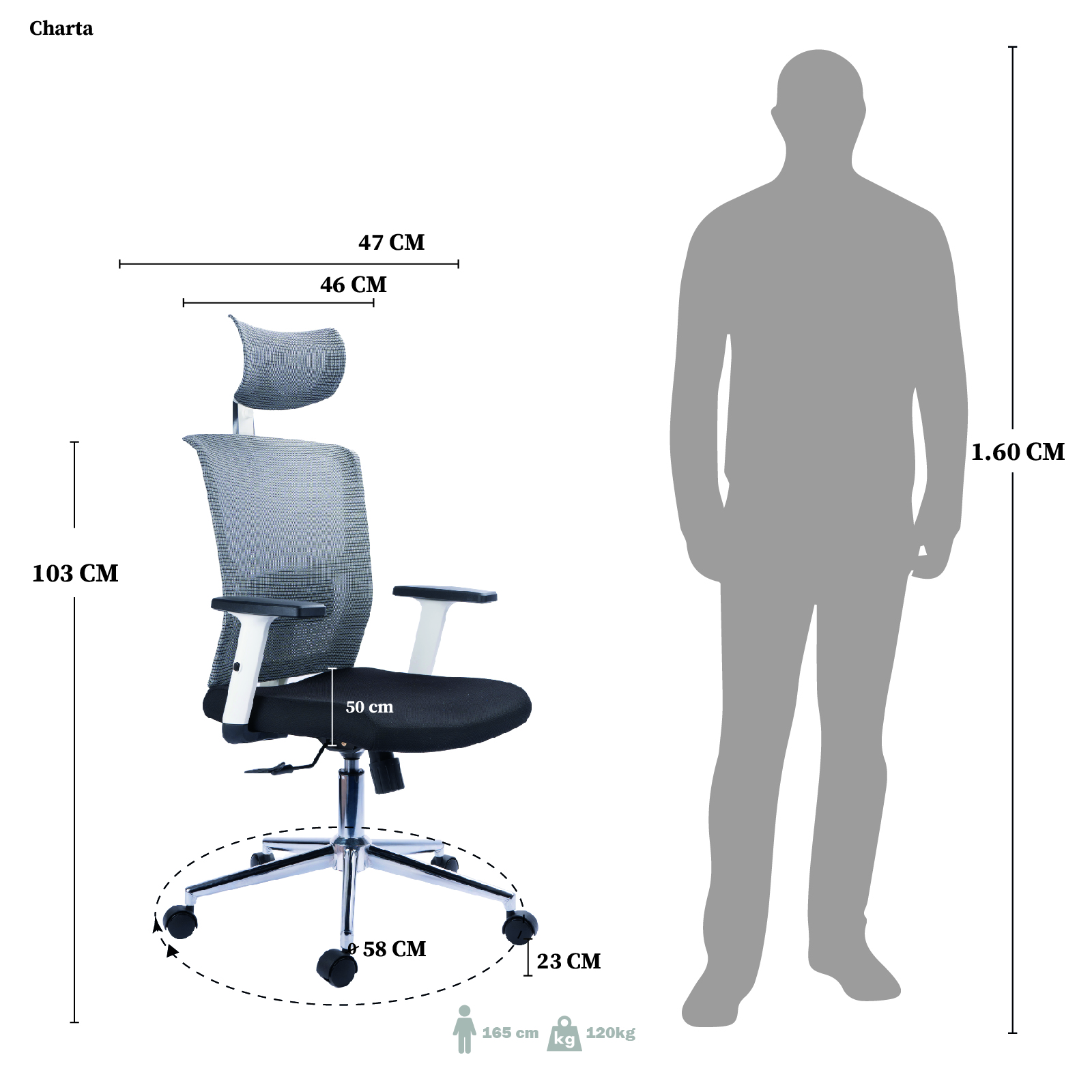 SILLA DE OFICINA CHARTA PRESIDENTE PREMIUM - Image 7